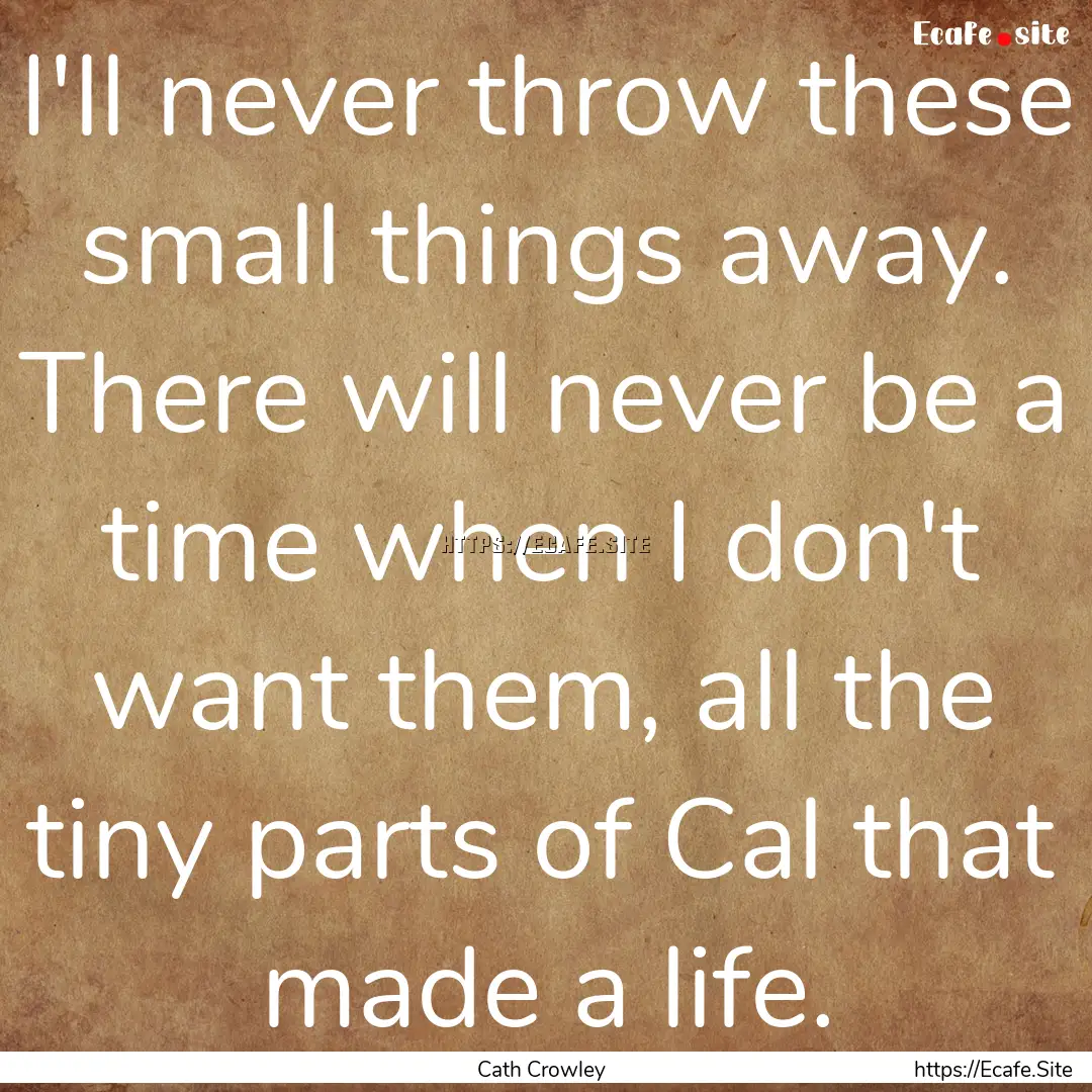 I'll never throw these small things away..... : Quote by Cath Crowley