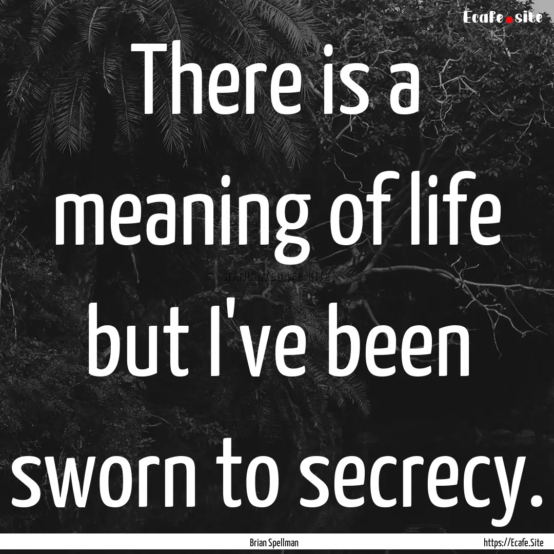 There is a meaning of life but I've been.... : Quote by Brian Spellman