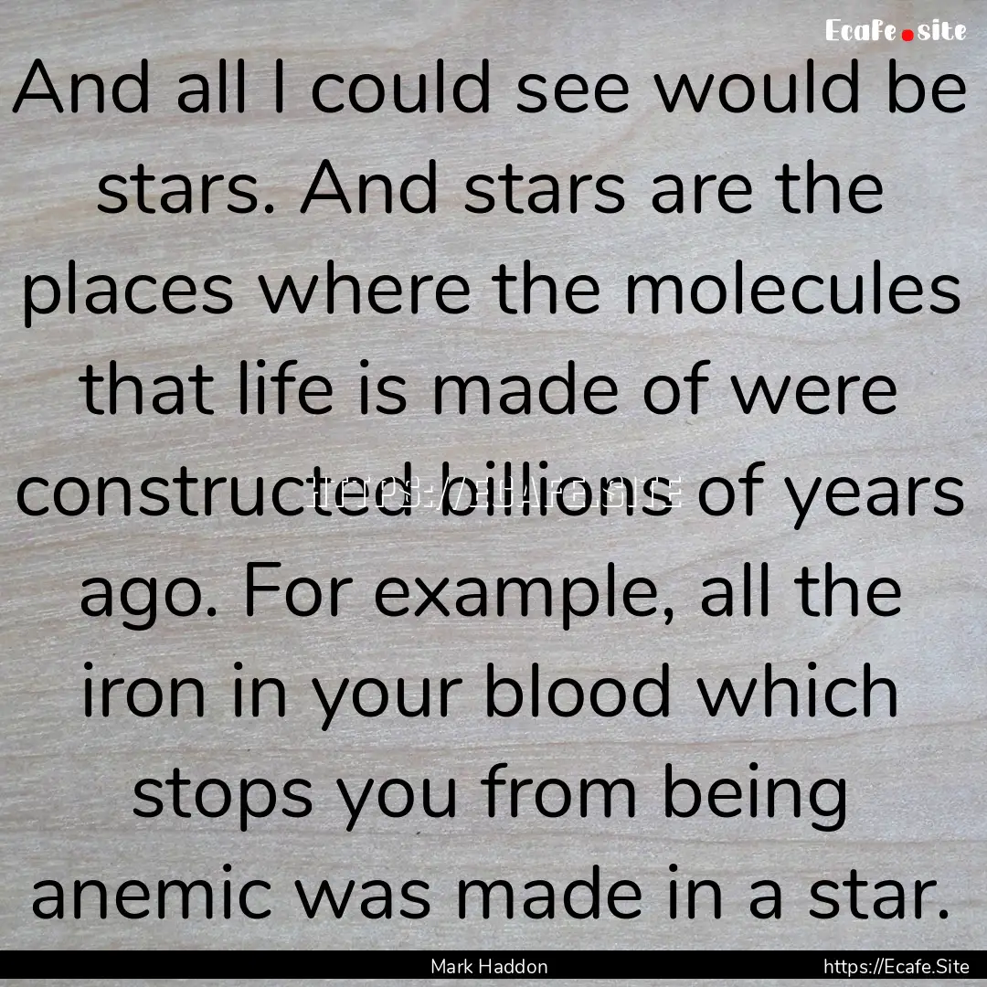 And all I could see would be stars. And stars.... : Quote by Mark Haddon