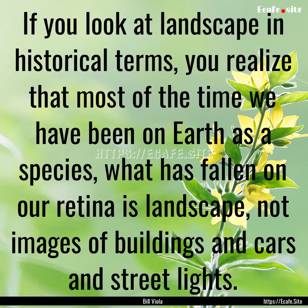 If you look at landscape in historical terms,.... : Quote by Bill Viola