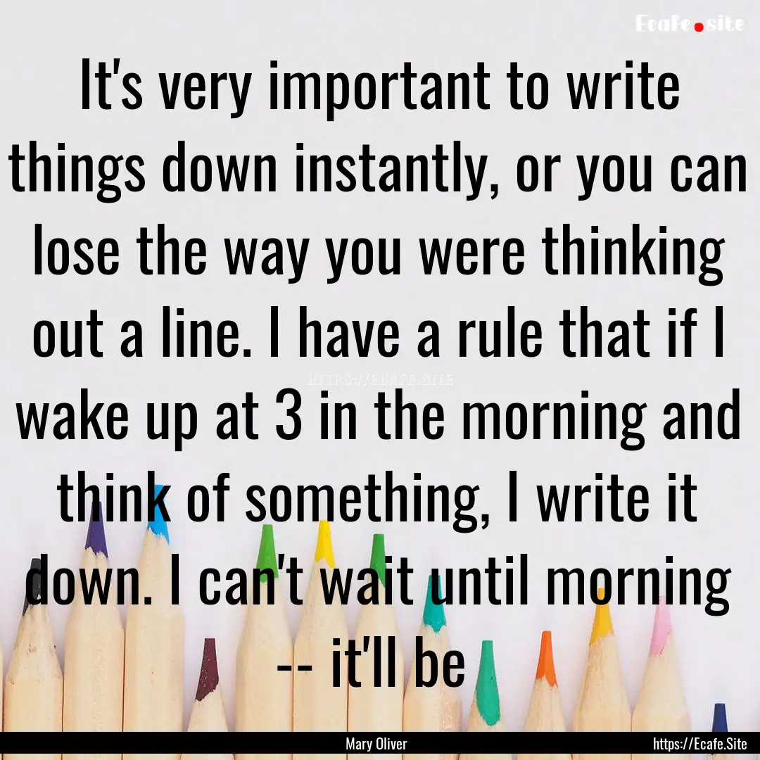 It's very important to write things down.... : Quote by Mary Oliver