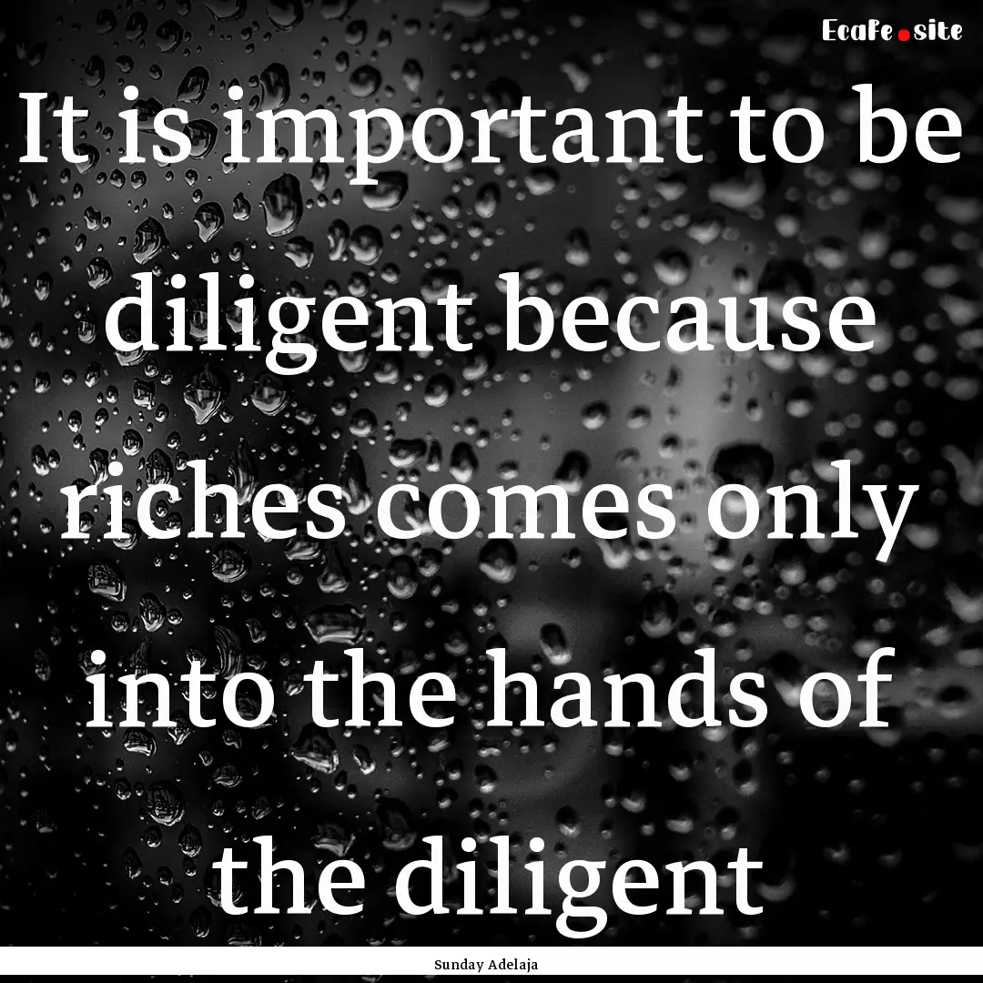 It is important to be diligent because riches.... : Quote by Sunday Adelaja