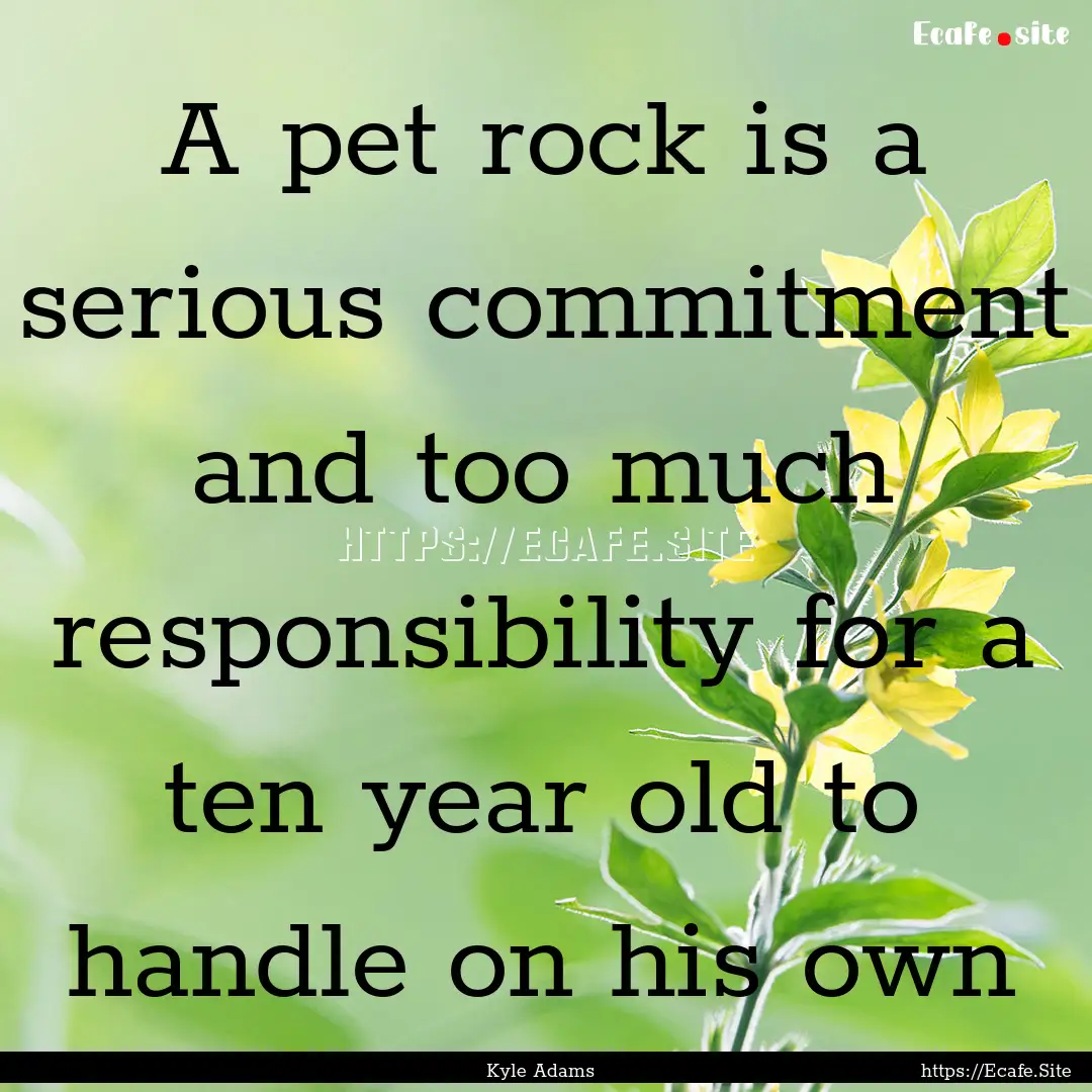 A pet rock is a serious commitment and too.... : Quote by Kyle Adams