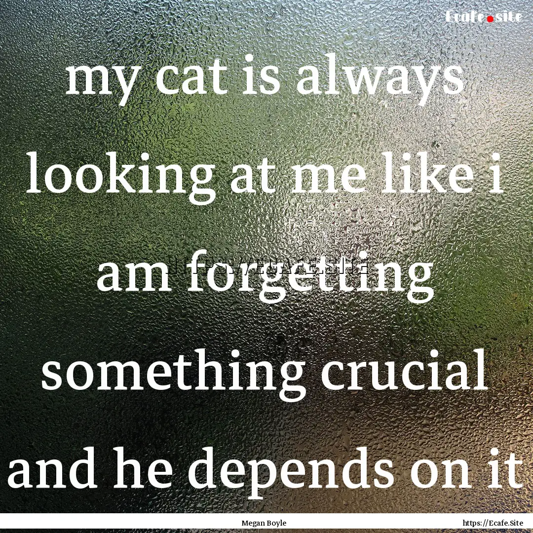 my cat is always looking at me like i am.... : Quote by Megan Boyle