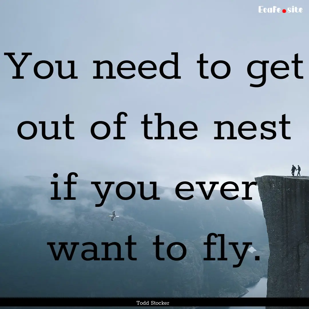 You need to get out of the nest if you ever.... : Quote by Todd Stocker