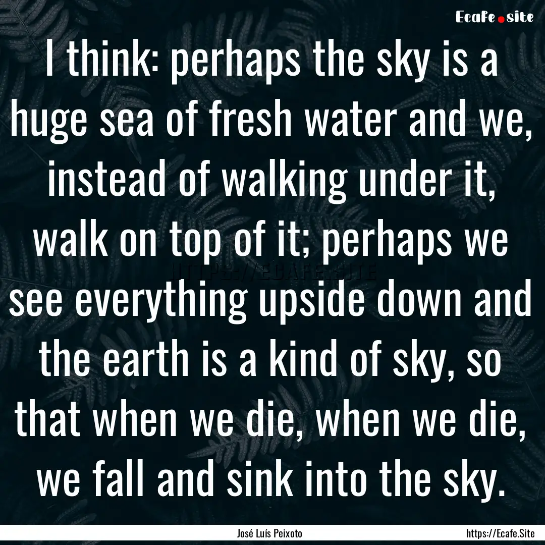 I think: perhaps the sky is a huge sea of.... : Quote by José Luís Peixoto