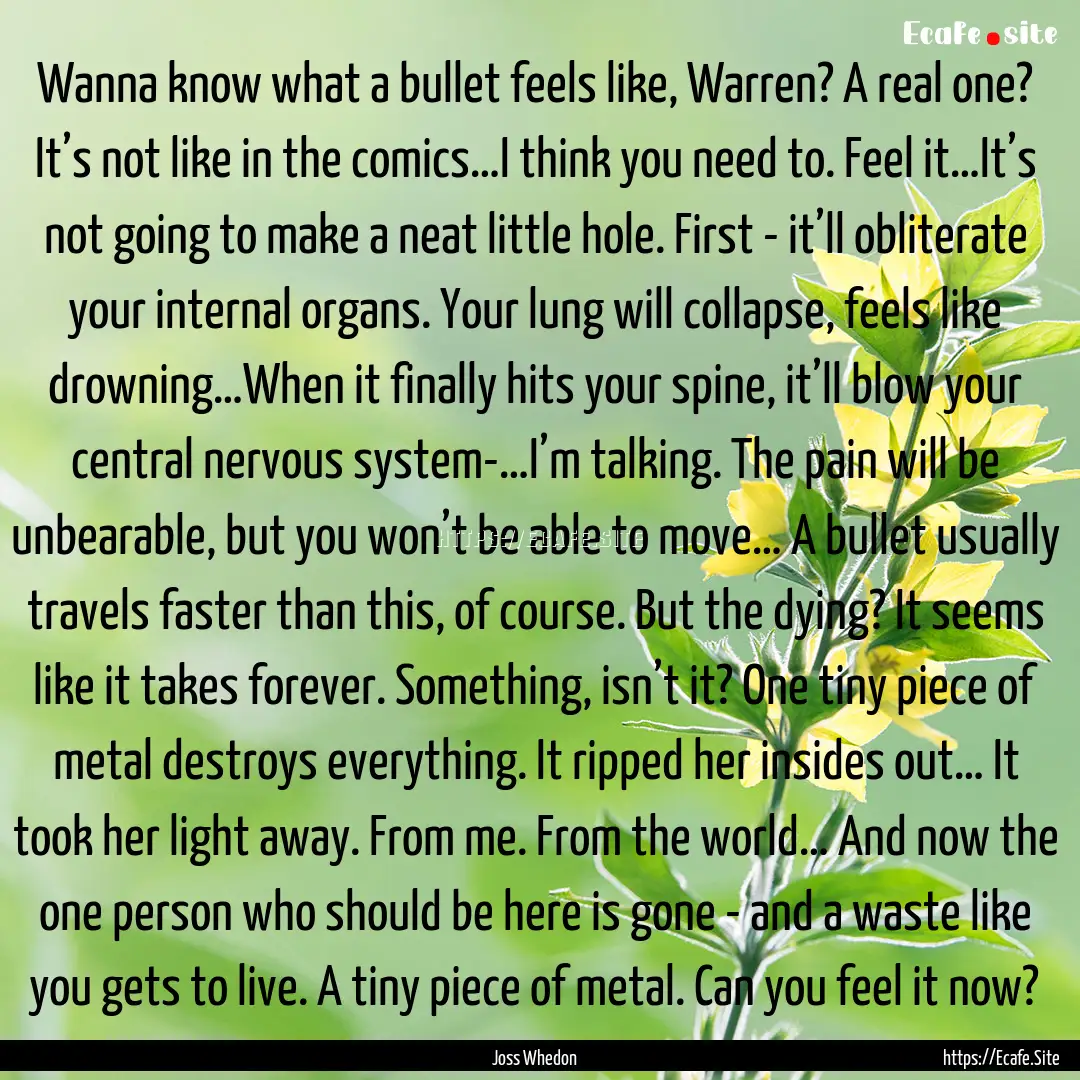 Wanna know what a bullet feels like, Warren?.... : Quote by Joss Whedon