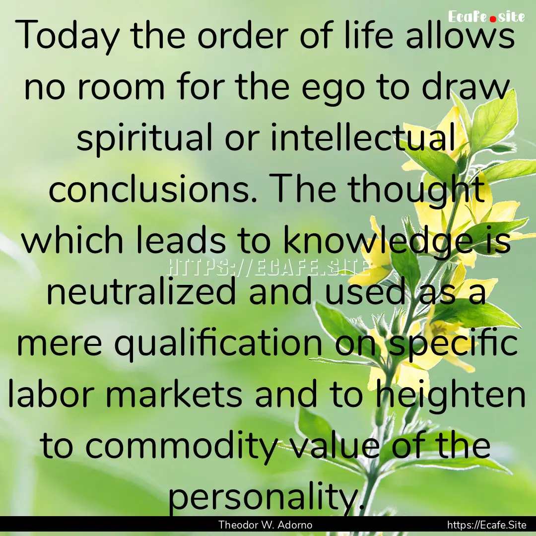 Today the order of life allows no room for.... : Quote by Theodor W. Adorno