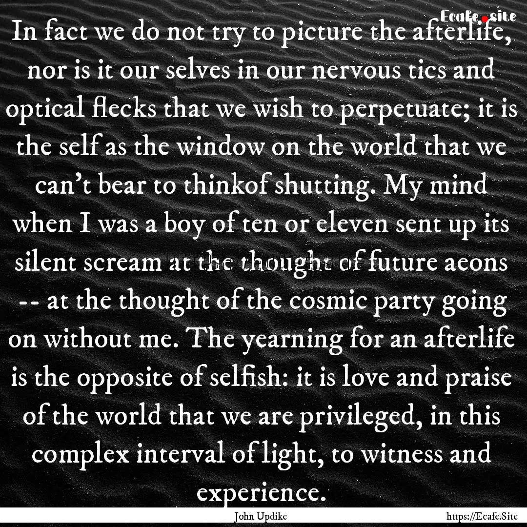 In fact we do not try to picture the afterlife,.... : Quote by John Updike