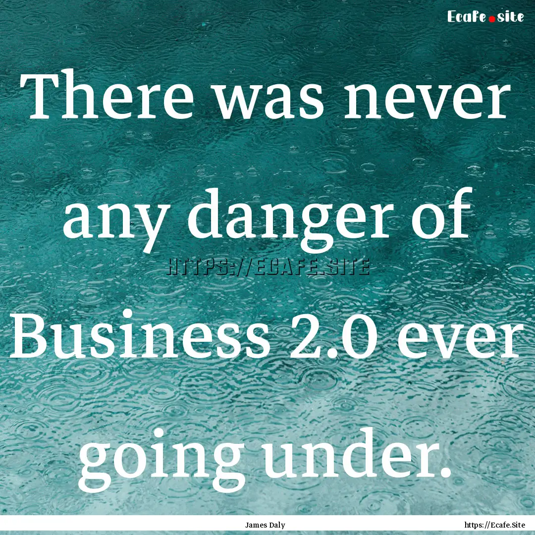 There was never any danger of Business 2.0.... : Quote by James Daly