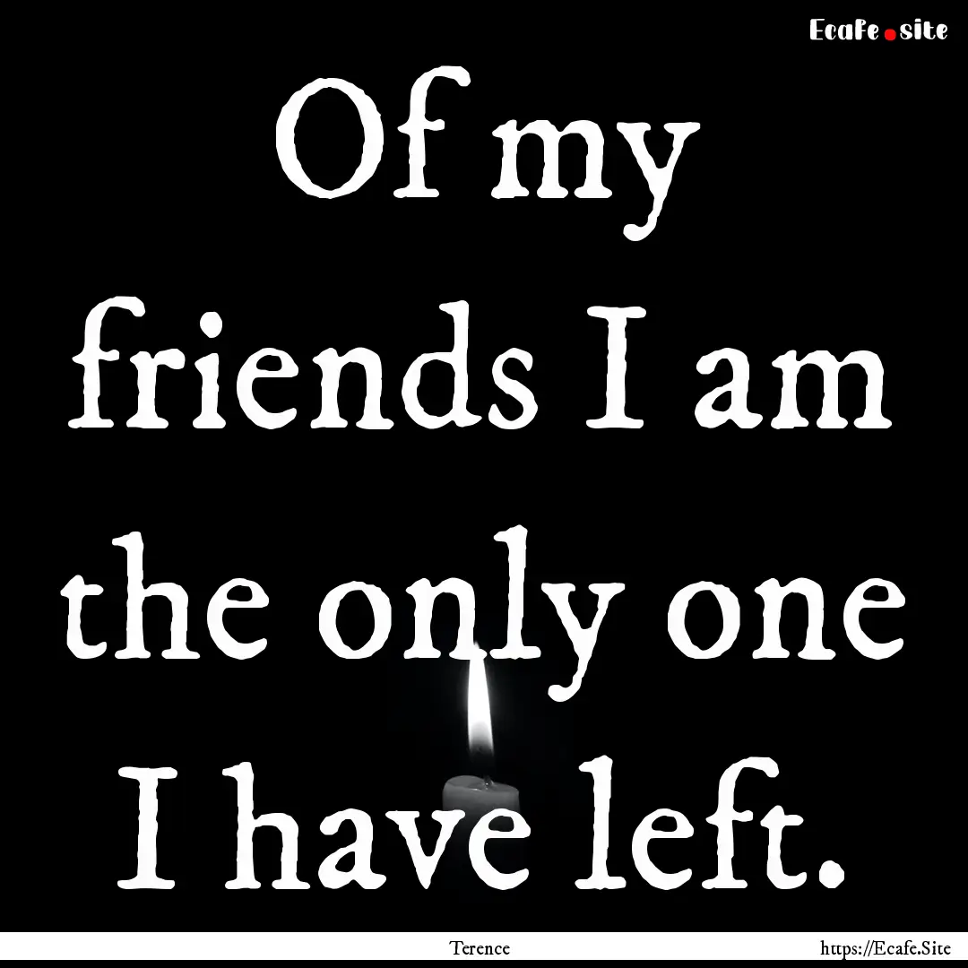 Of my friends I am the only one I have left..... : Quote by Terence