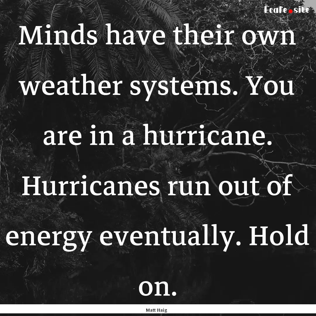 Minds have their own weather systems. You.... : Quote by Matt Haig