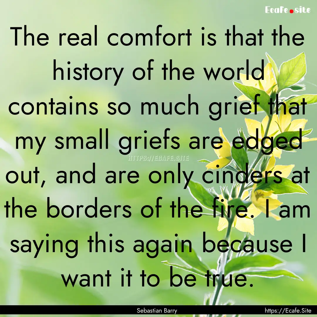 The real comfort is that the history of the.... : Quote by Sebastian Barry