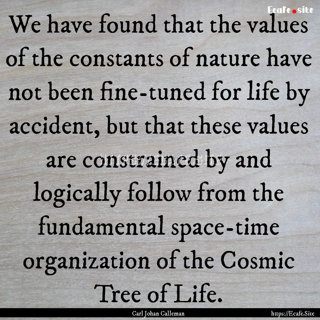 We have found that the values of the constants.... : Quote by Carl Johan Calleman