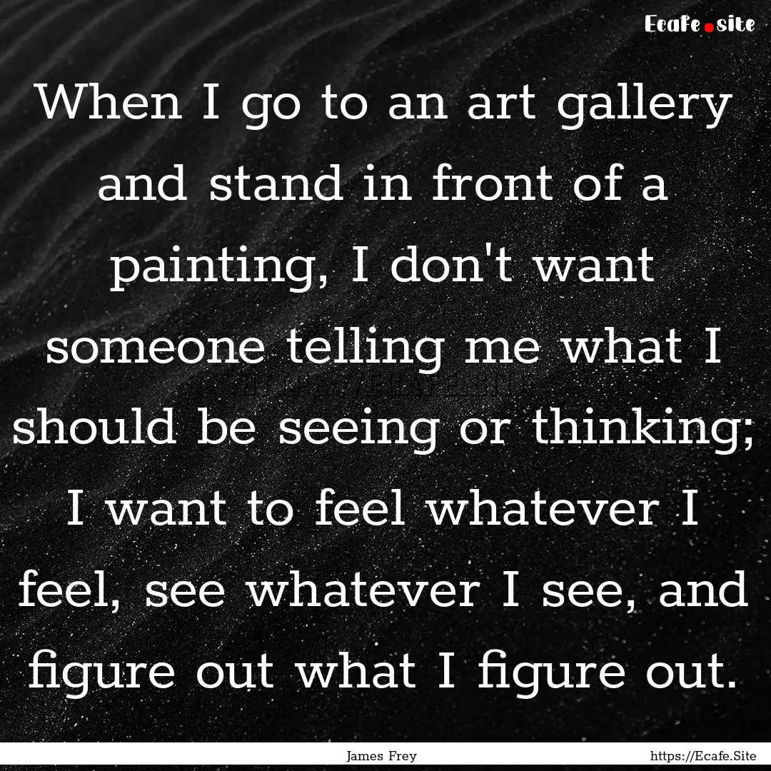 When I go to an art gallery and stand in.... : Quote by James Frey