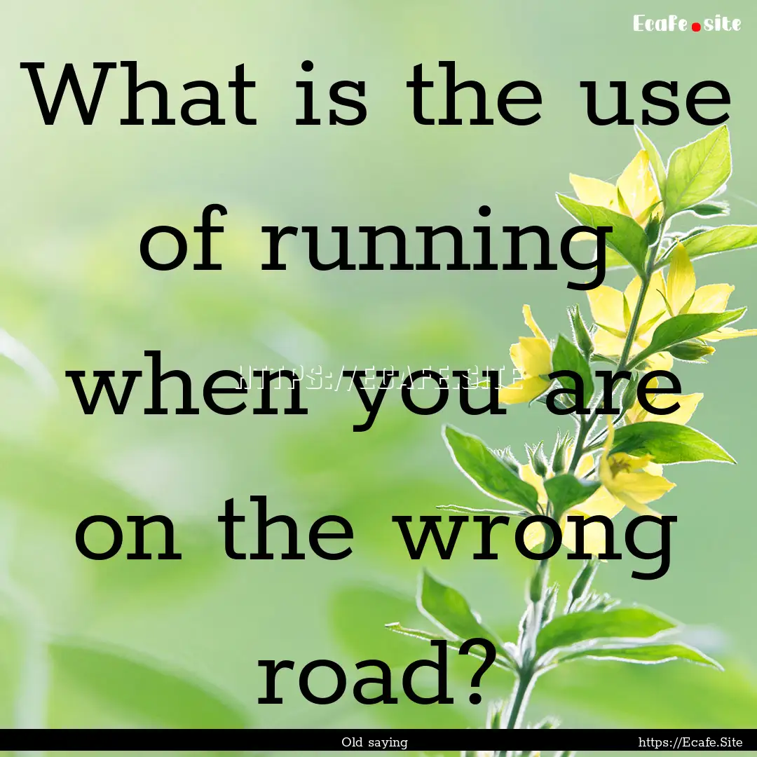 What is the use of running when you are on.... : Quote by Old saying