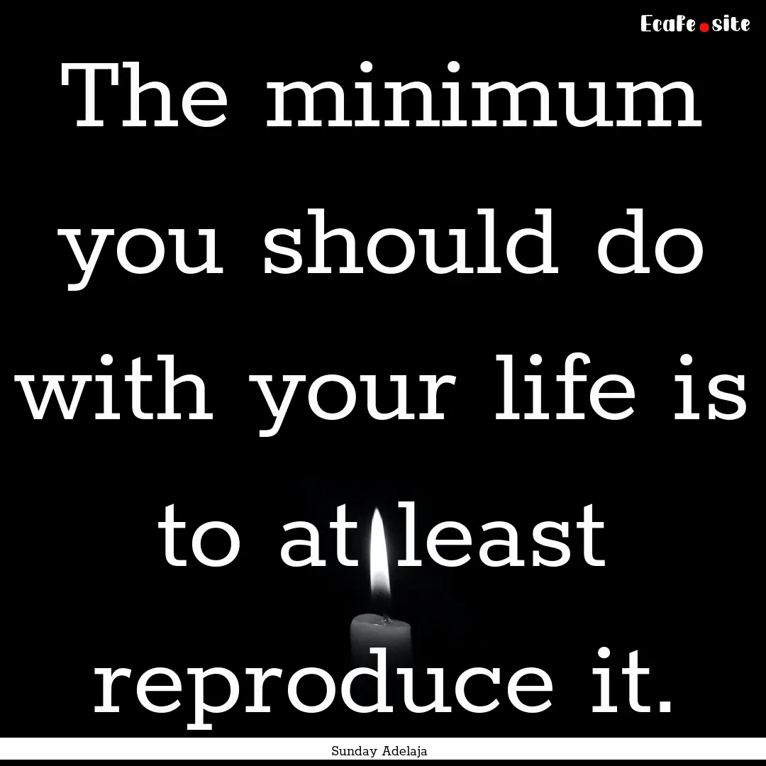 The minimum you should do with your life.... : Quote by Sunday Adelaja