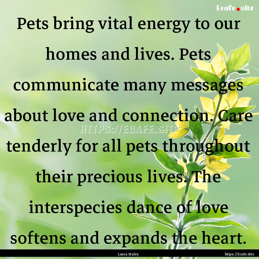 Pets bring vital energy to our homes and.... : Quote by Laura Staley