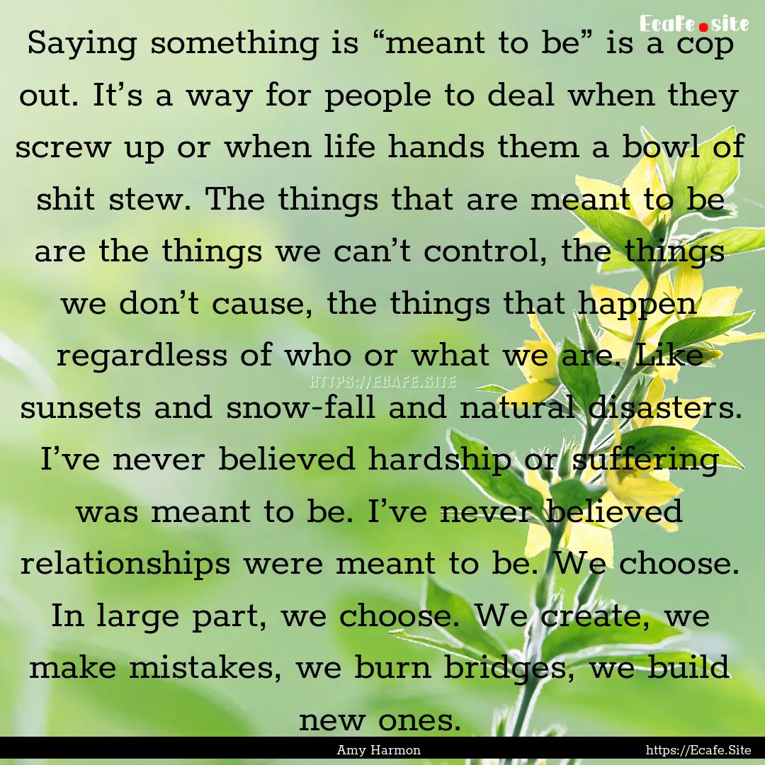 Saying something is “meant to be” is.... : Quote by Amy Harmon