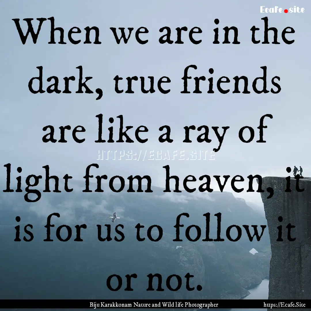 When we are in the dark, true friends are.... : Quote by Biju Karakkonam Nature and Wild life Photographer