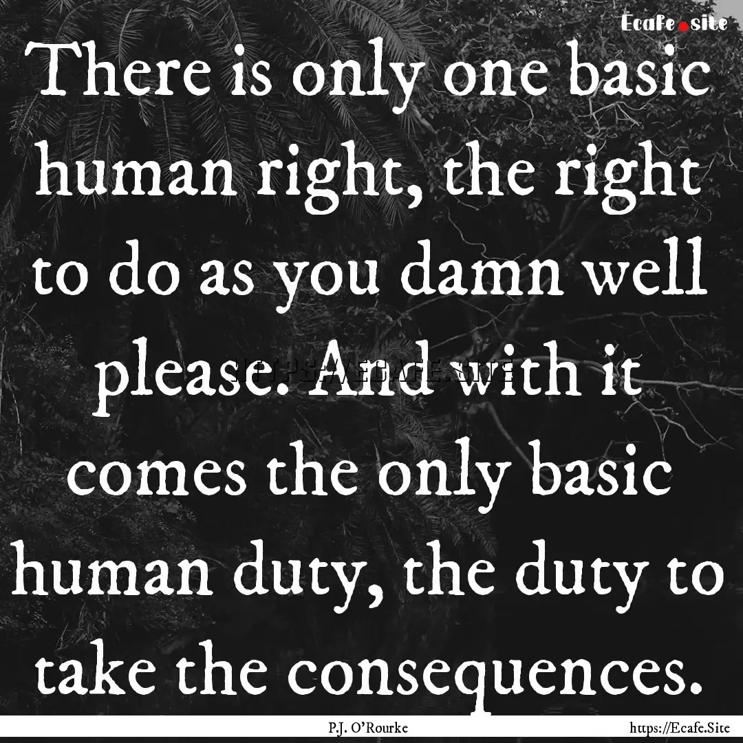 There is only one basic human right, the.... : Quote by P.J. O'Rourke