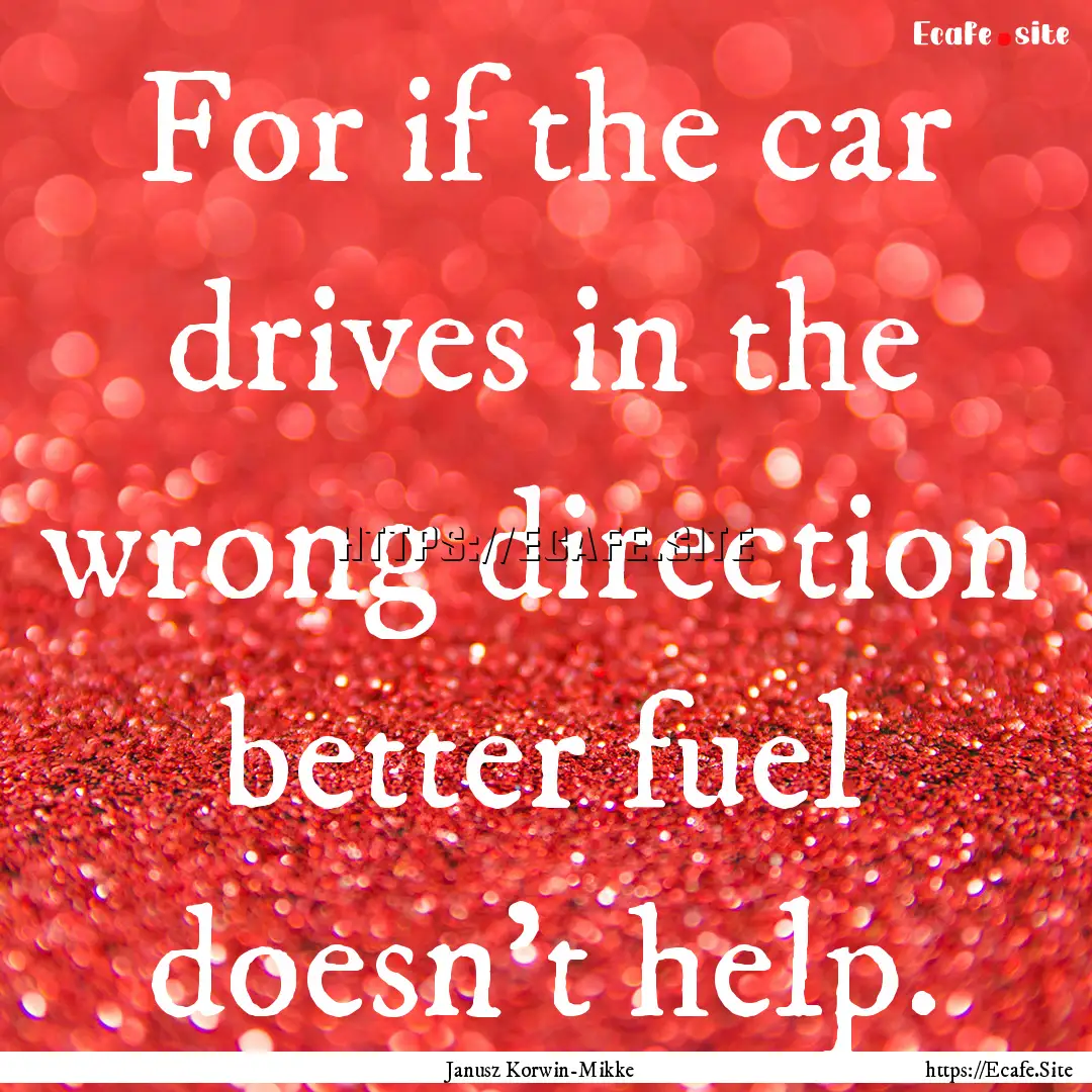 For if the car drives in the wrong direction.... : Quote by Janusz Korwin-Mikke