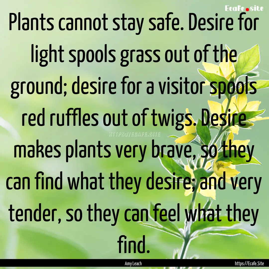 Plants cannot stay safe. Desire for light.... : Quote by Amy Leach