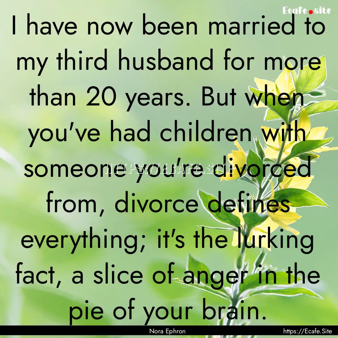 I have now been married to my third husband.... : Quote by Nora Ephron