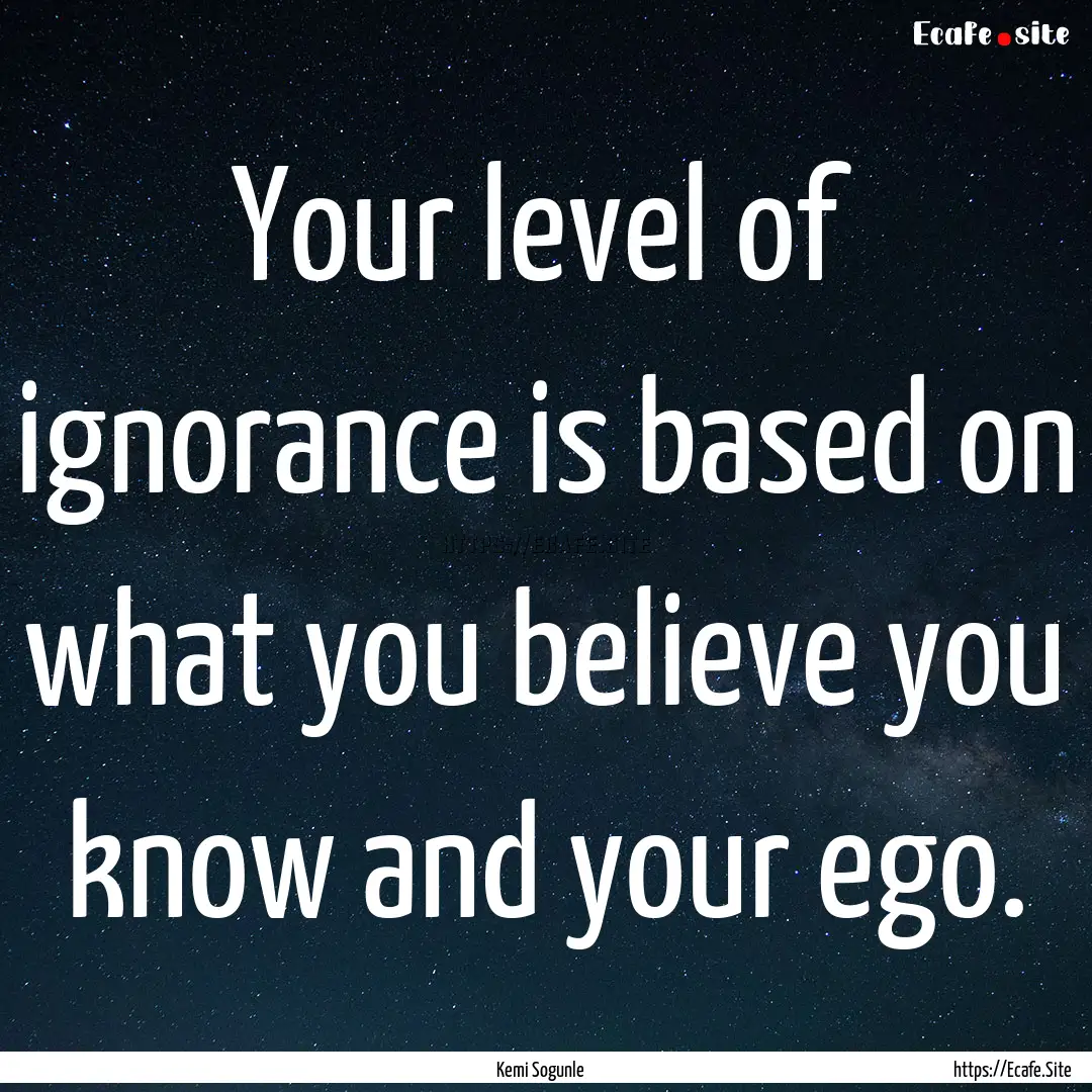 Your level of ignorance is based on what.... : Quote by Kemi Sogunle