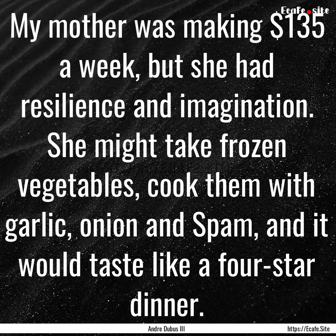 My mother was making $135 a week, but she.... : Quote by Andre Dubus III