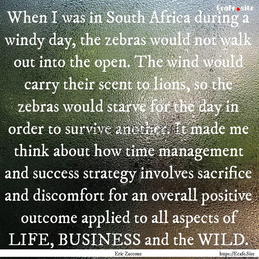 When I was in South Africa during a windy.... : Quote by Eric Zaccone