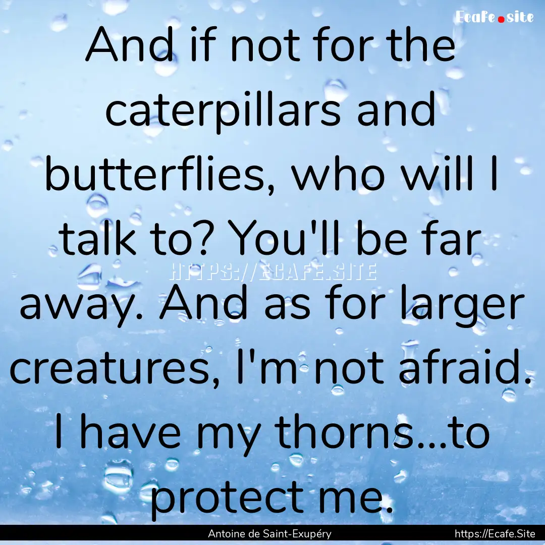 And if not for the caterpillars and butterflies,.... : Quote by Antoine de Saint-Exupéry