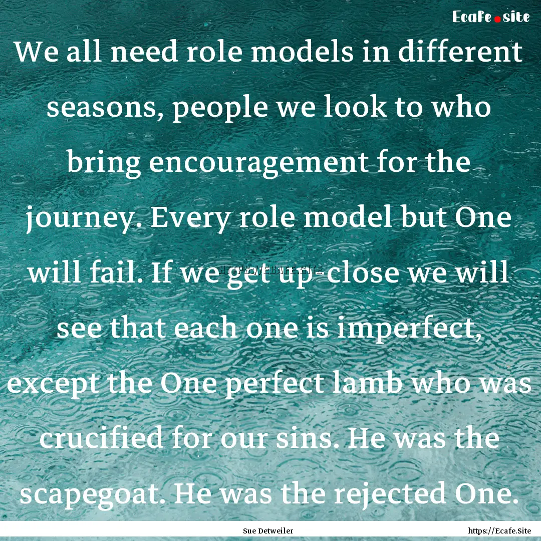 We all need role models in different seasons,.... : Quote by Sue Detweiler