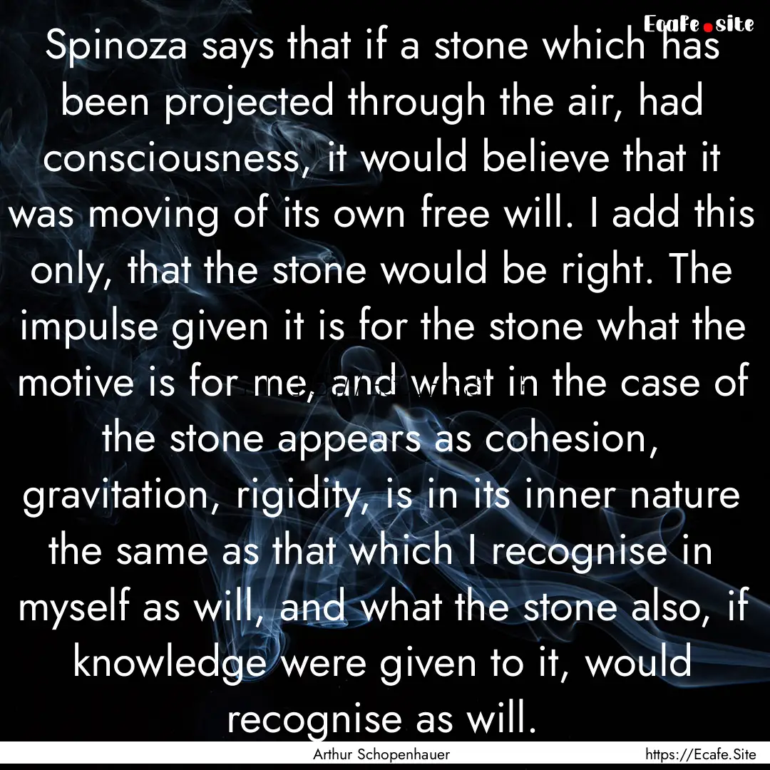 Spinoza says that if a stone which has been.... : Quote by Arthur Schopenhauer