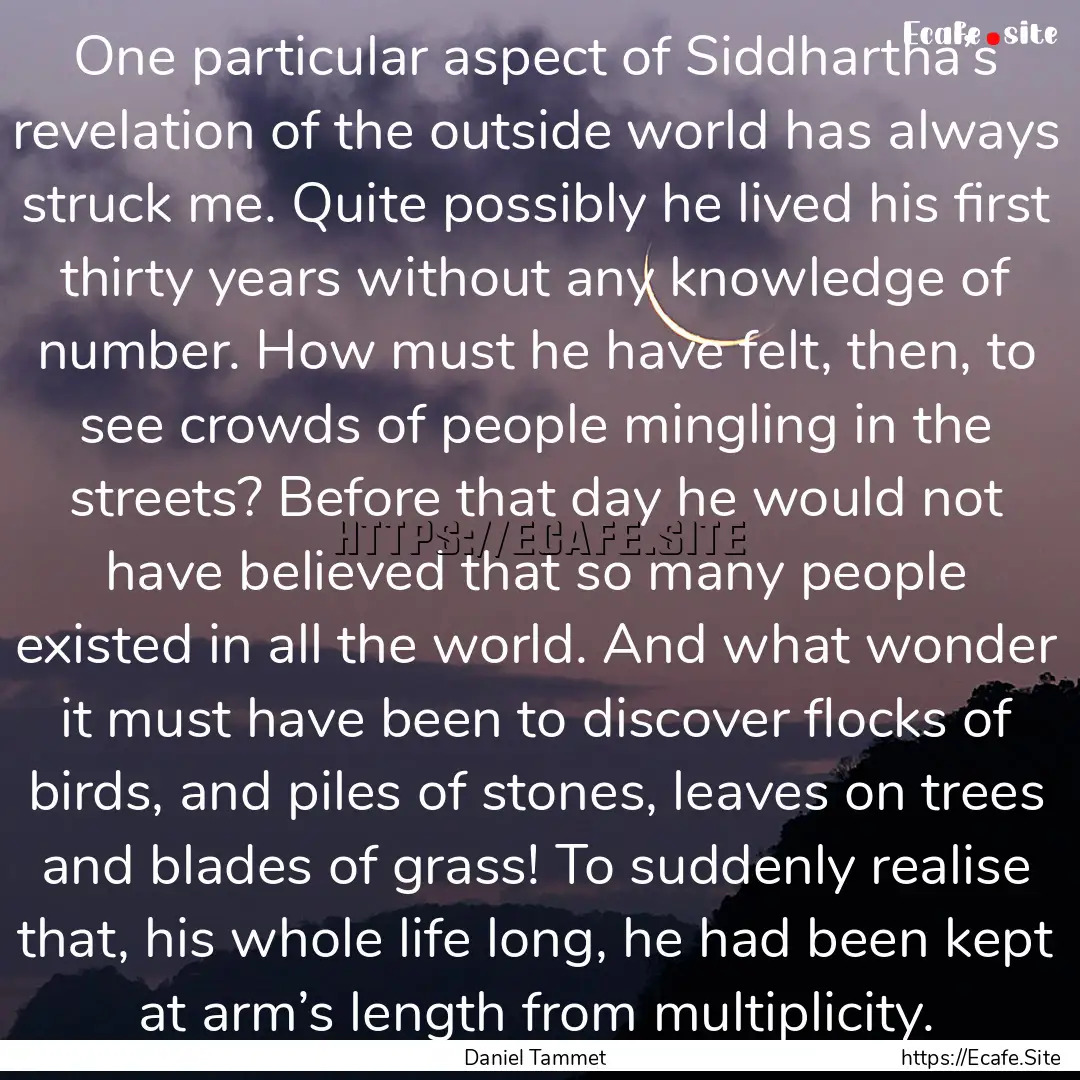 One particular aspect of Siddhartha’s revelation.... : Quote by Daniel Tammet