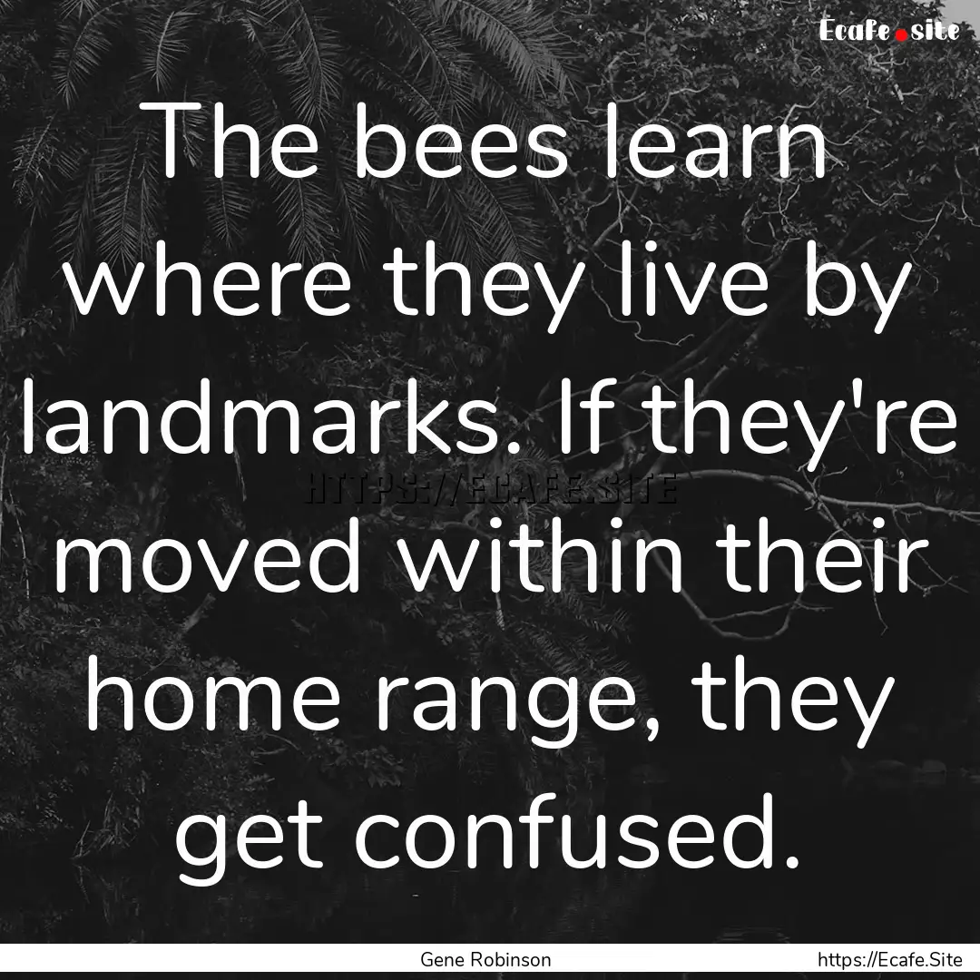 The bees learn where they live by landmarks..... : Quote by Gene Robinson