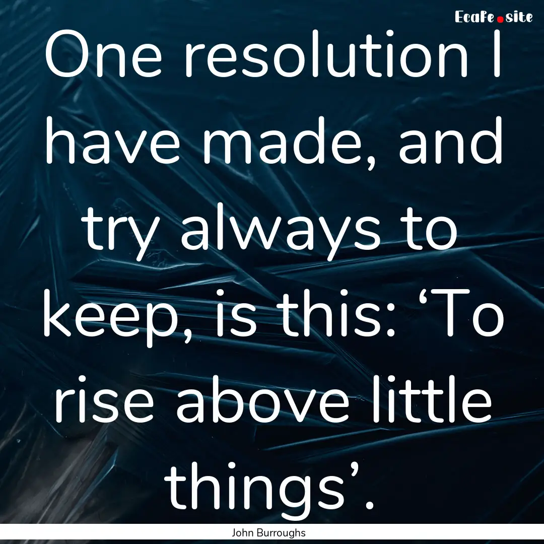 One resolution I have made, and try always.... : Quote by John Burroughs