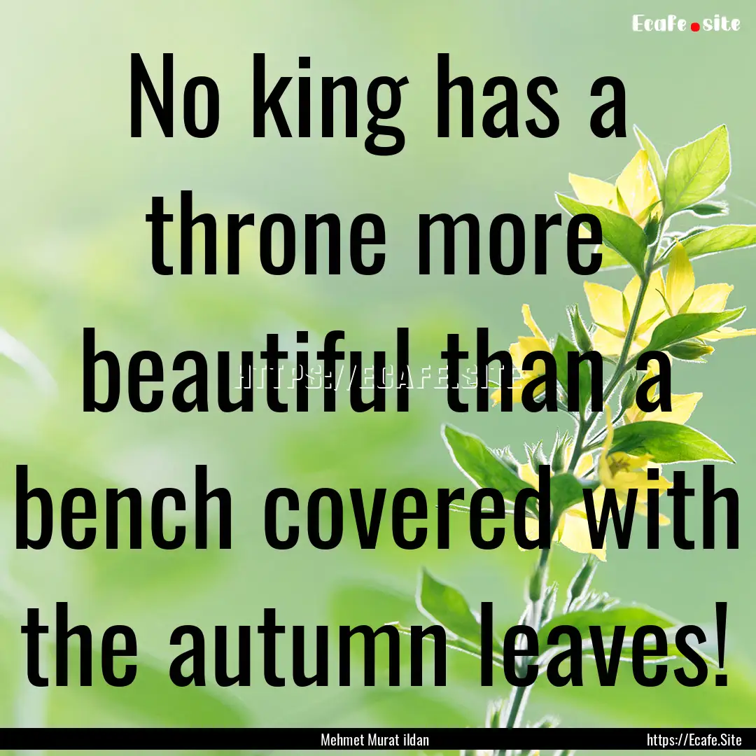 No king has a throne more beautiful than.... : Quote by Mehmet Murat ildan