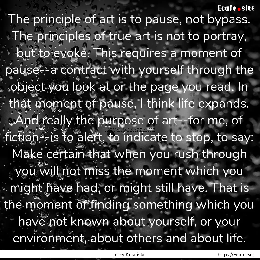 The principle of art is to pause, not bypass..... : Quote by Jerzy Kosiński