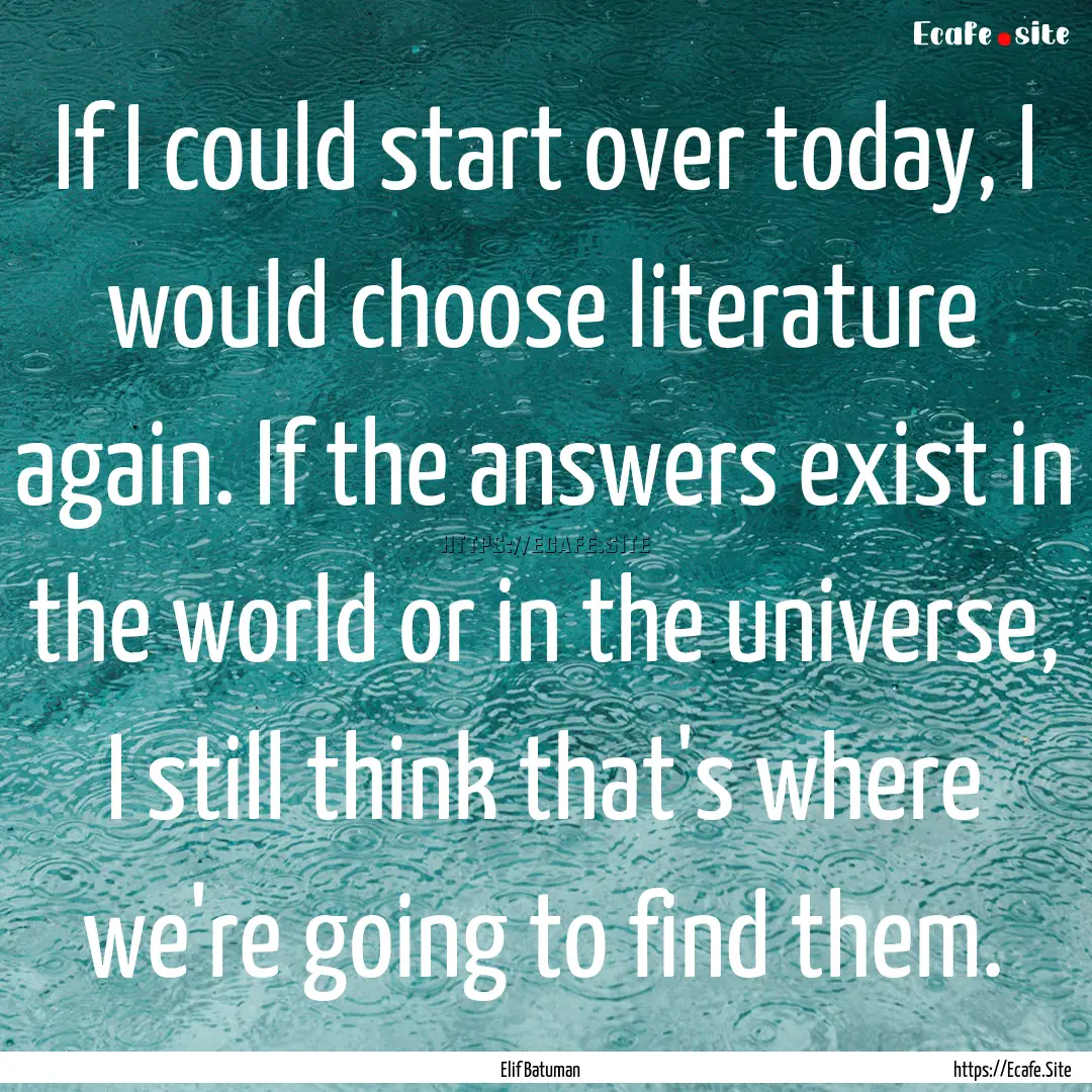 If I could start over today, I would choose.... : Quote by Elif Batuman