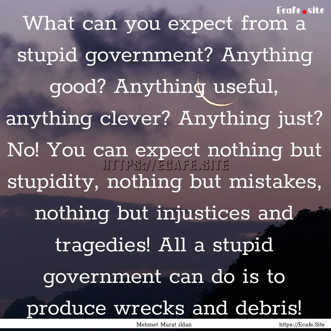 What can you expect from a stupid government?.... : Quote by Mehmet Murat ildan