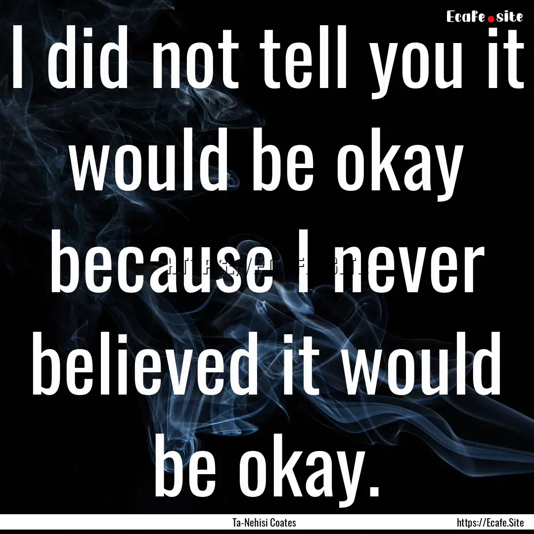 I did not tell you it would be okay because.... : Quote by Ta-Nehisi Coates