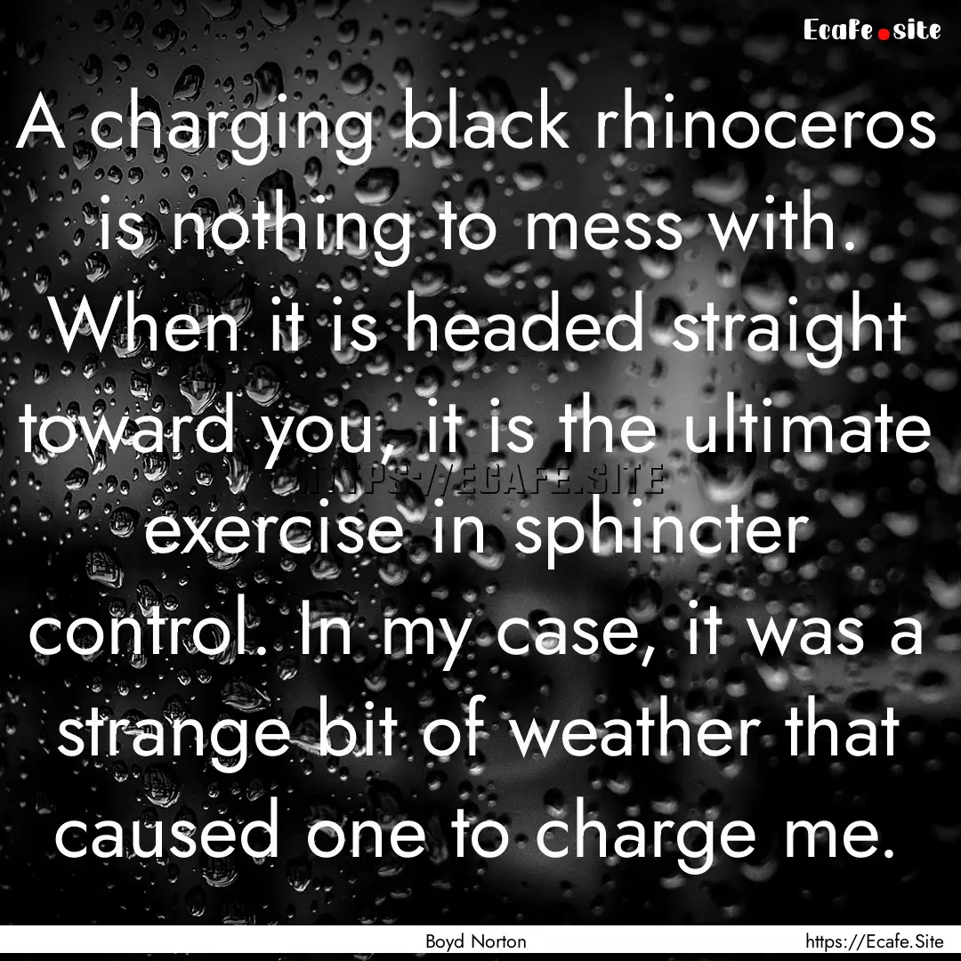 A charging black rhinoceros is nothing to.... : Quote by Boyd Norton