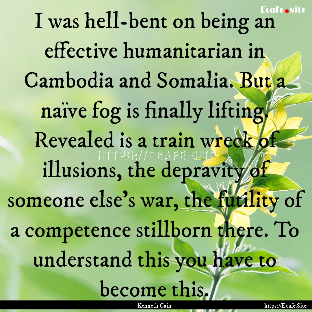 I was hell-bent on being an effective humanitarian.... : Quote by Kenneth Cain