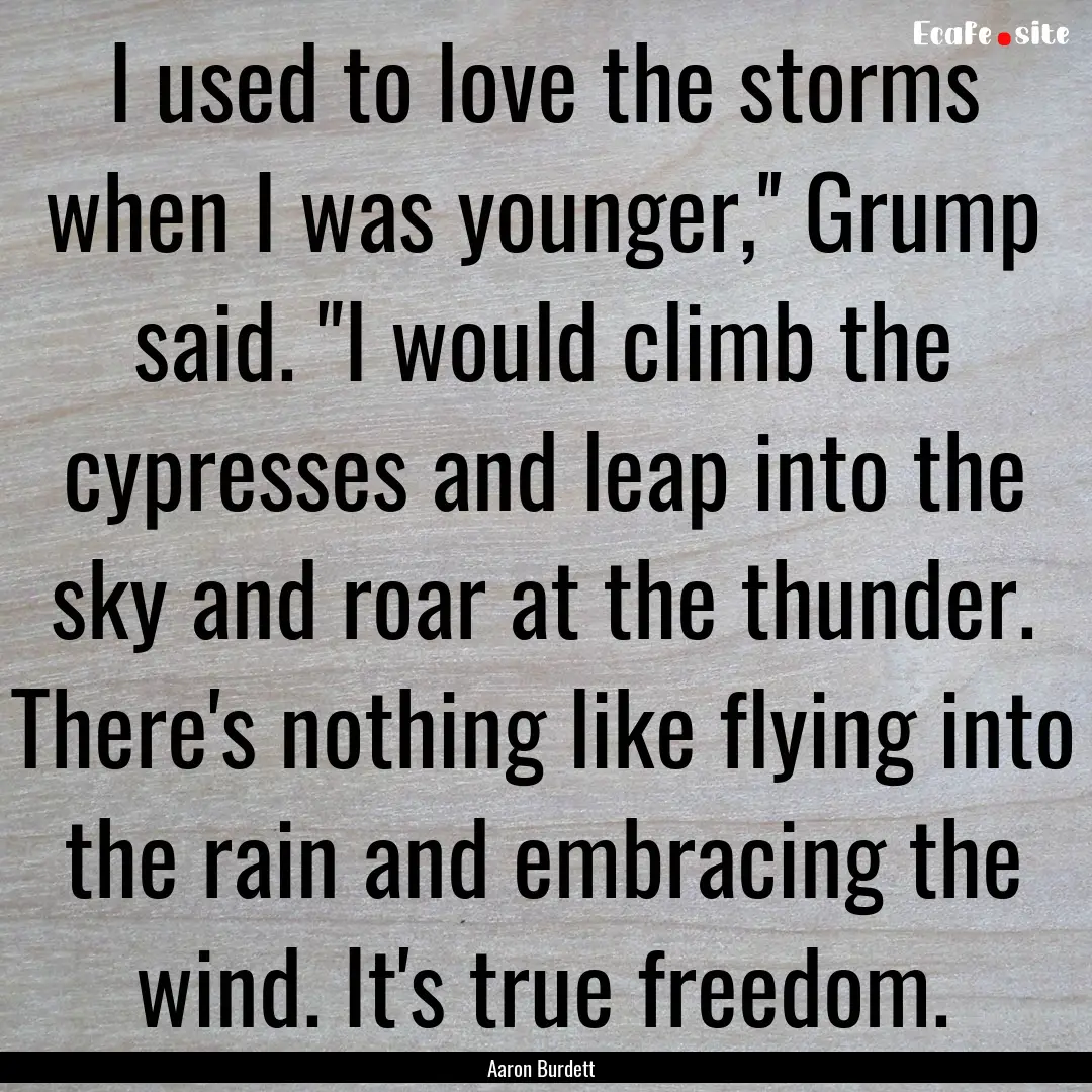 I used to love the storms when I was younger,''.... : Quote by Aaron Burdett