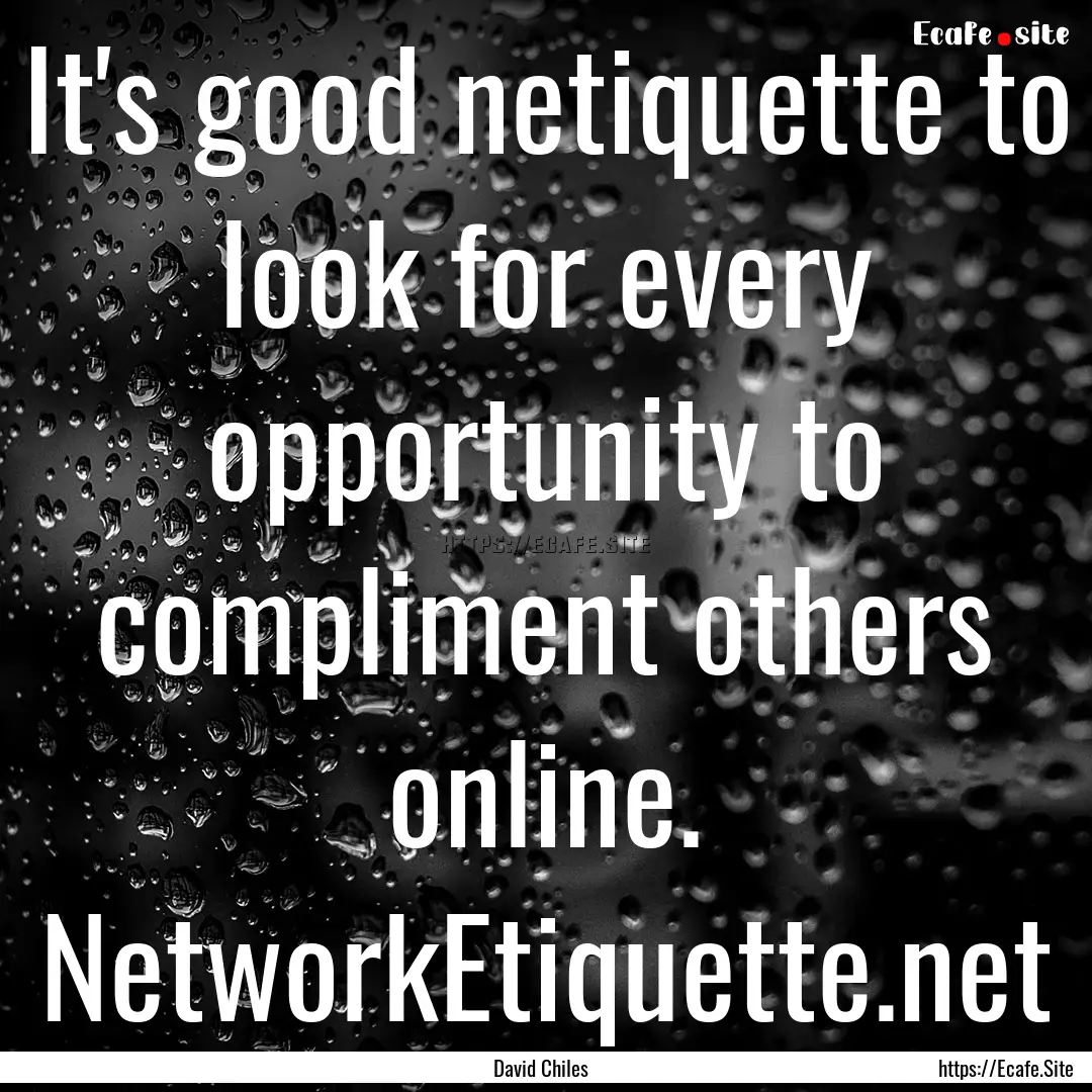 It's good netiquette to look for every opportunity.... : Quote by David Chiles