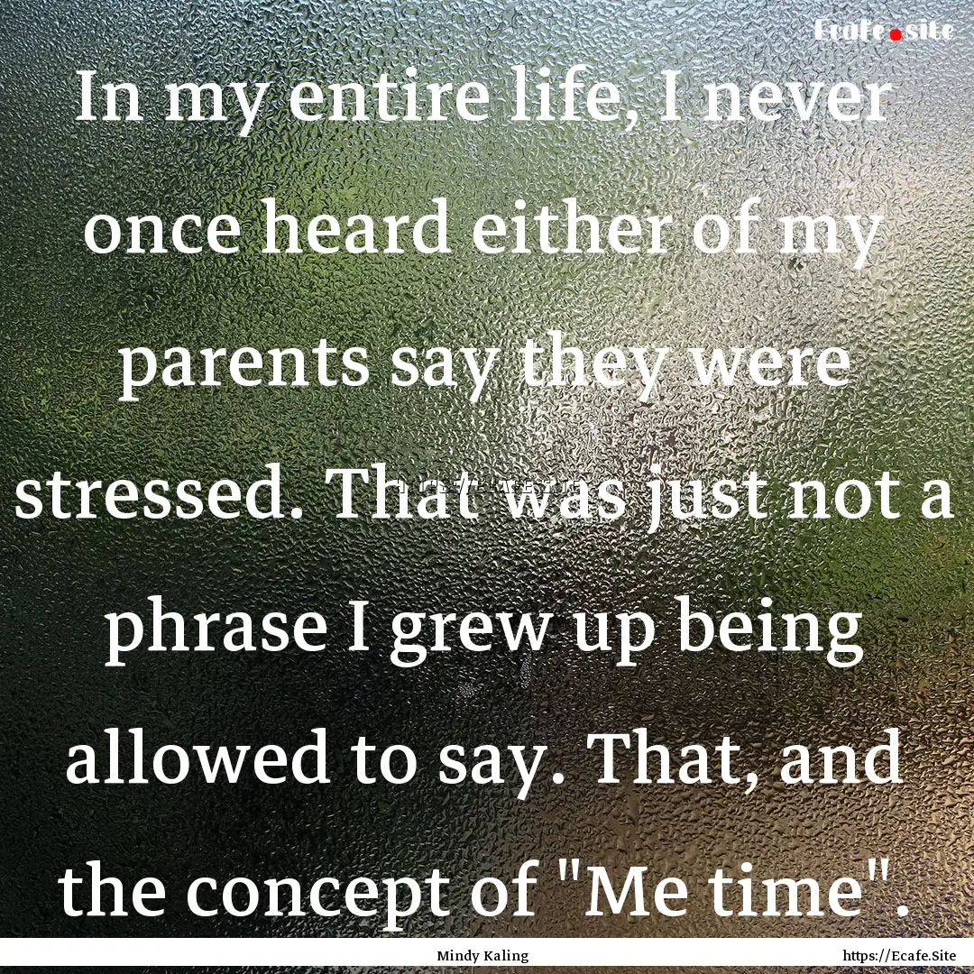 In my entire life, I never once heard either.... : Quote by Mindy Kaling