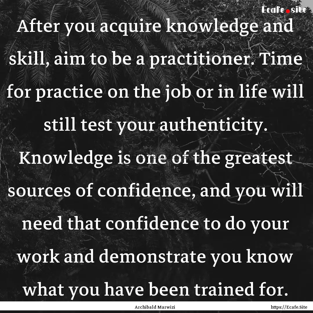 After you acquire knowledge and skill, aim.... : Quote by Archibald Marwizi