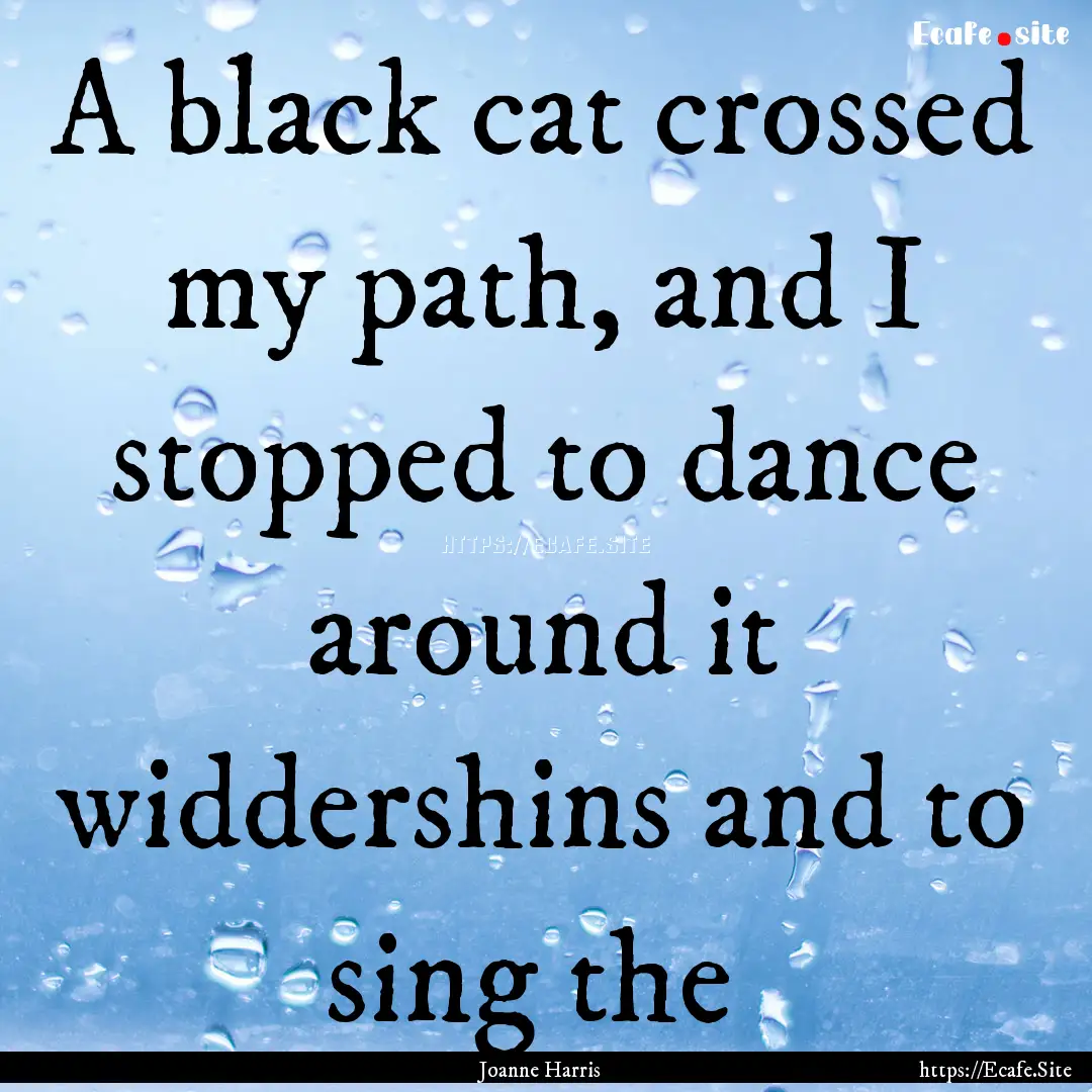 A black cat crossed my path, and I stopped.... : Quote by Joanne Harris