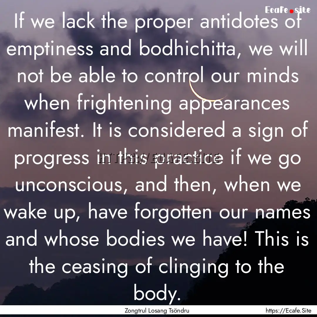 If we lack the proper antidotes of emptiness.... : Quote by Zongtrul Losang Tsöndru